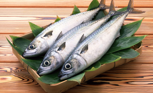 Хранение рыбных продуктов